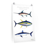 Atlantic Offshore Grand Slam Poster