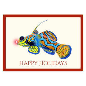 Mandarinfish Holiday Cards