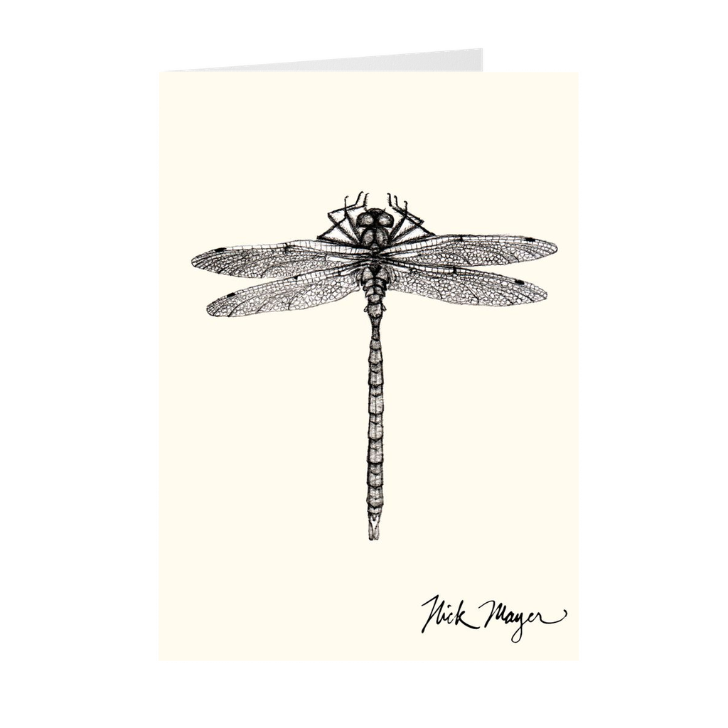 Dragonfly Notecards