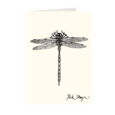 Dragonfly Notecards