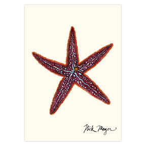 Starfish I Notecards