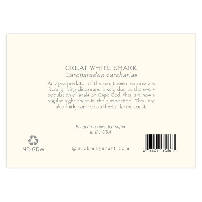 Shark Fine Note Send a sharky message with Great White Shark Notecards