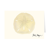 Ivory Sand Dollar I Notecards