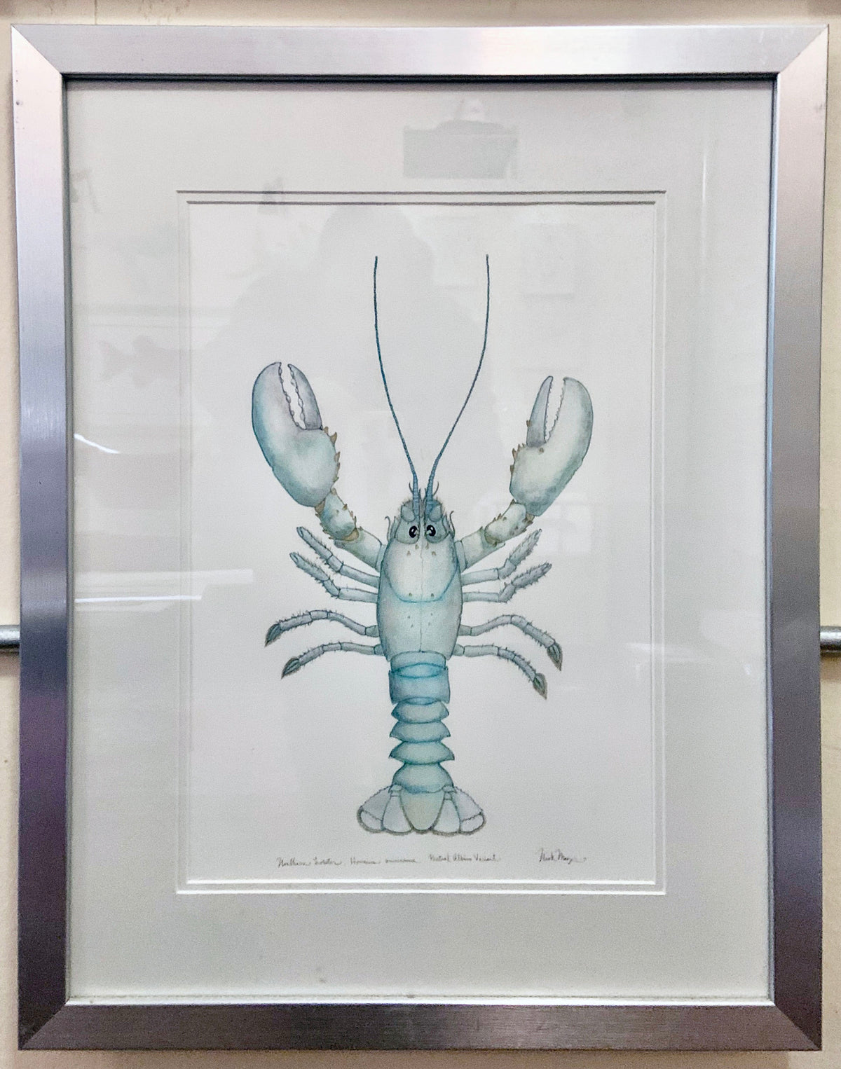 Albino Lobster Original Painting