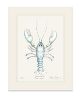 Albino Lobster Print