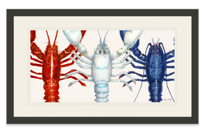 American Lobsters Trio Print
