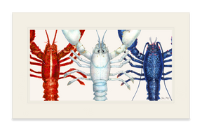 American Lobsters Trio Print