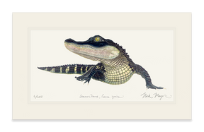 American Alligator Print