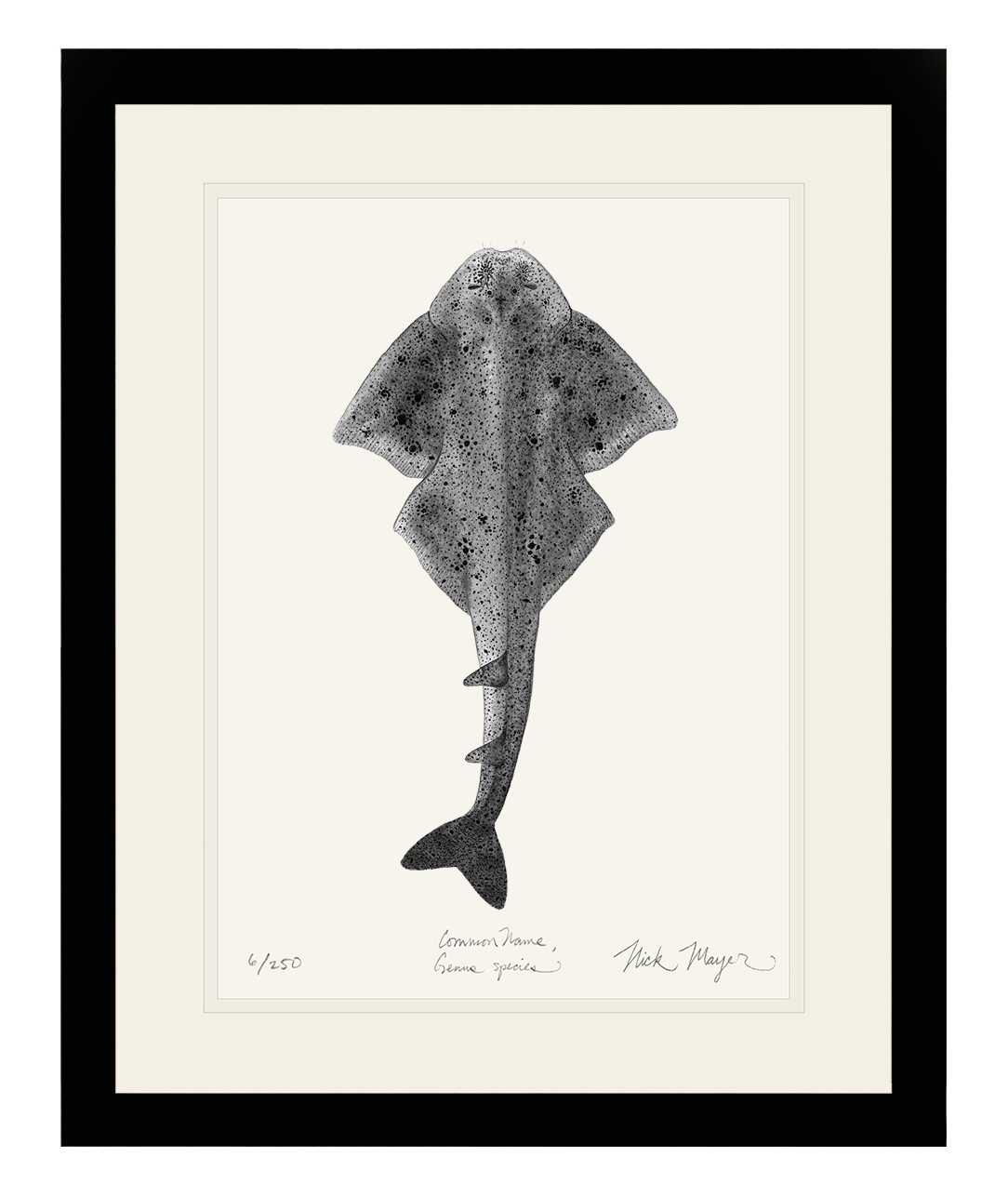 Angel Shark Print (b&w)