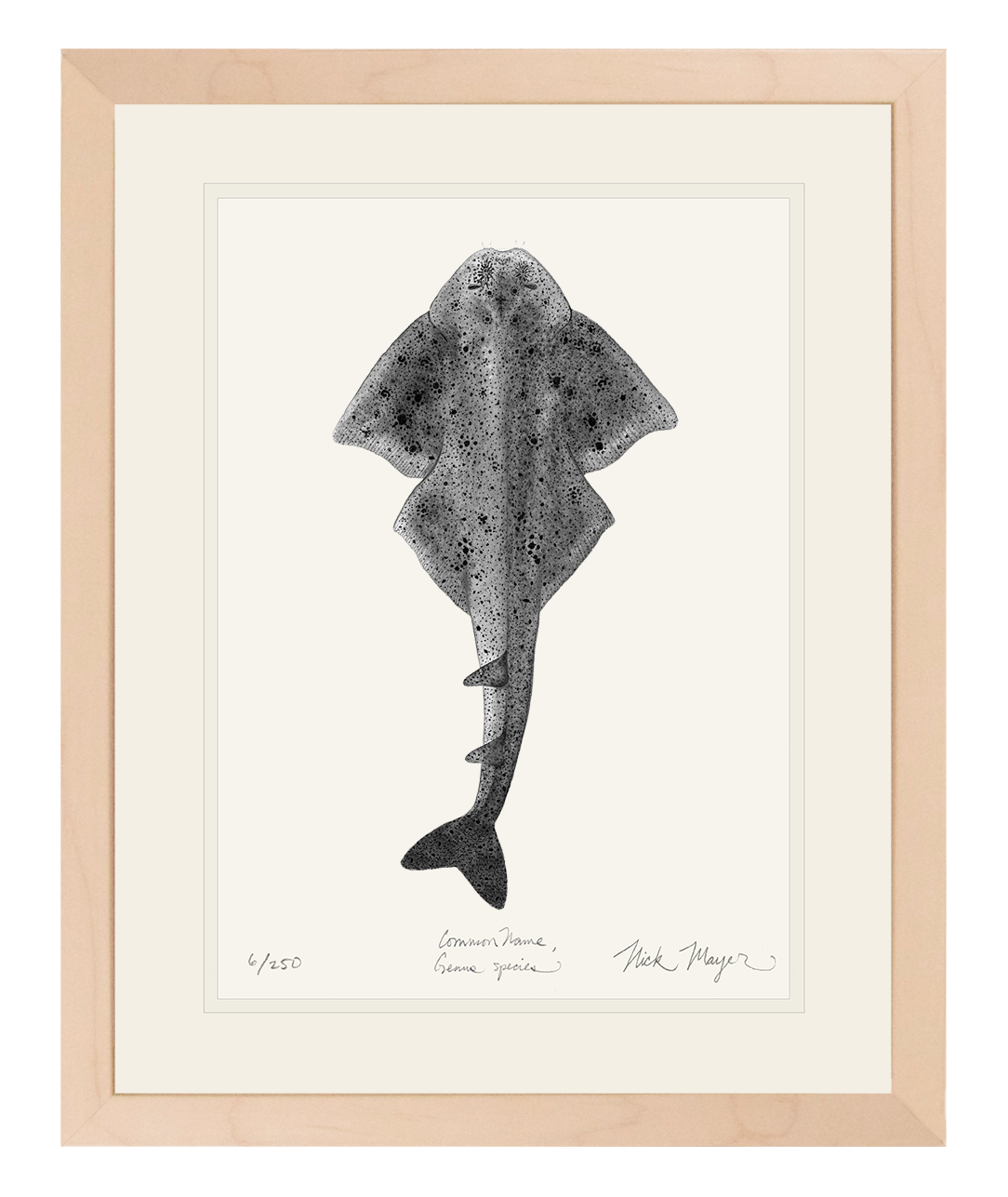 Angel Shark Print (b&w)