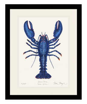 Blue Lobster II Print - Best Seller