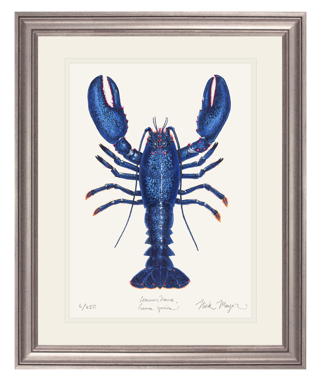 Blue Lobster II Print - Best Seller