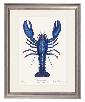 Blue Lobster II Print - Best Seller