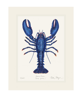 Blue Lobster II Print - Best Seller