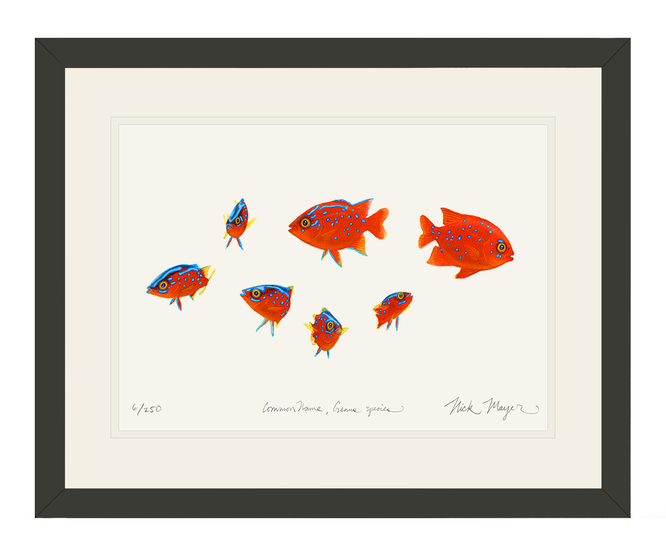 Baby Garibaldis 3 Limited Edition Print