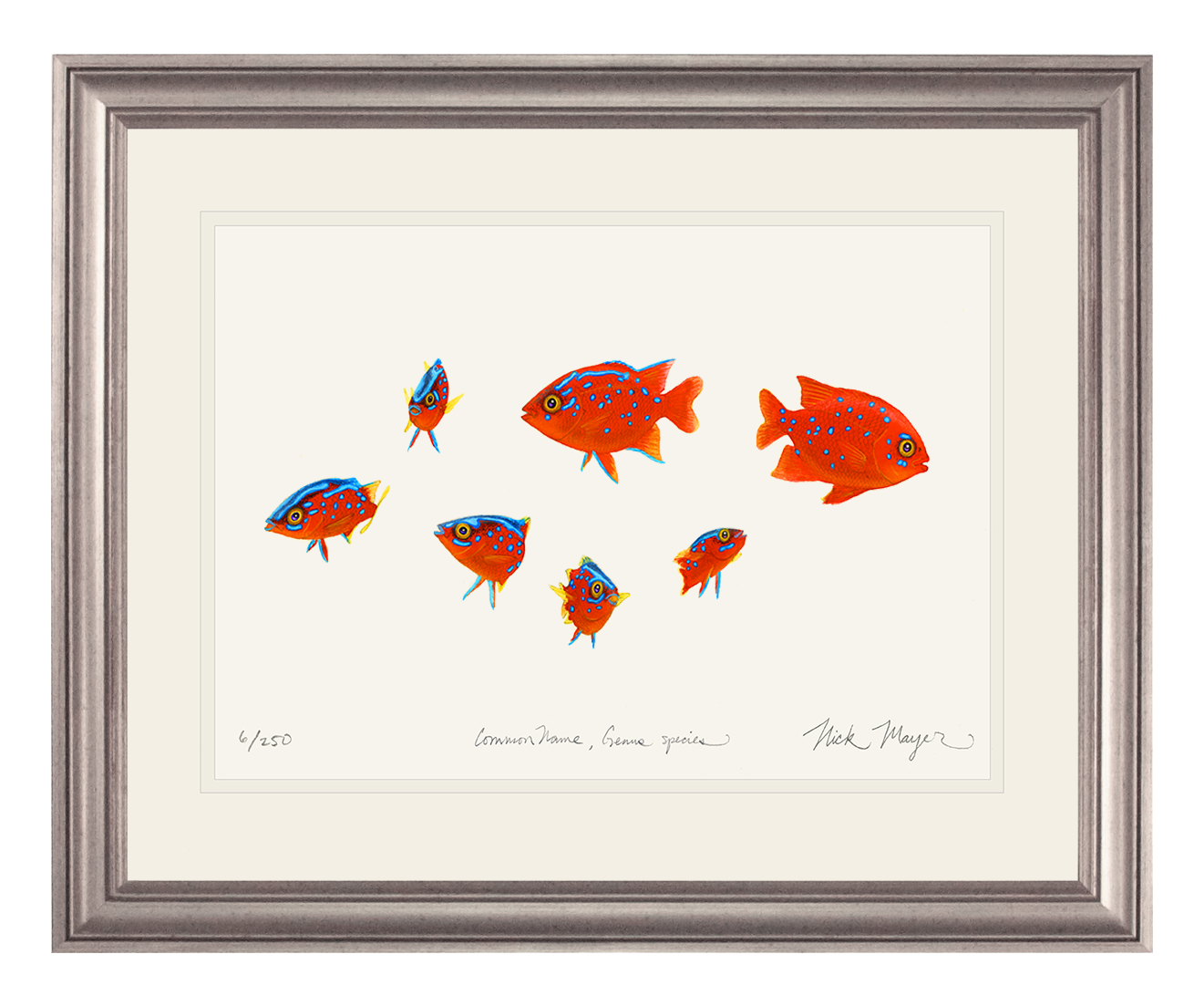 Baby Garibaldis 3 Limited Edition Print