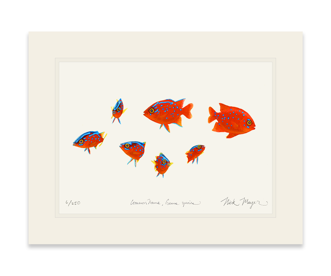 Baby Garibaldis 3 Limited Edition Print