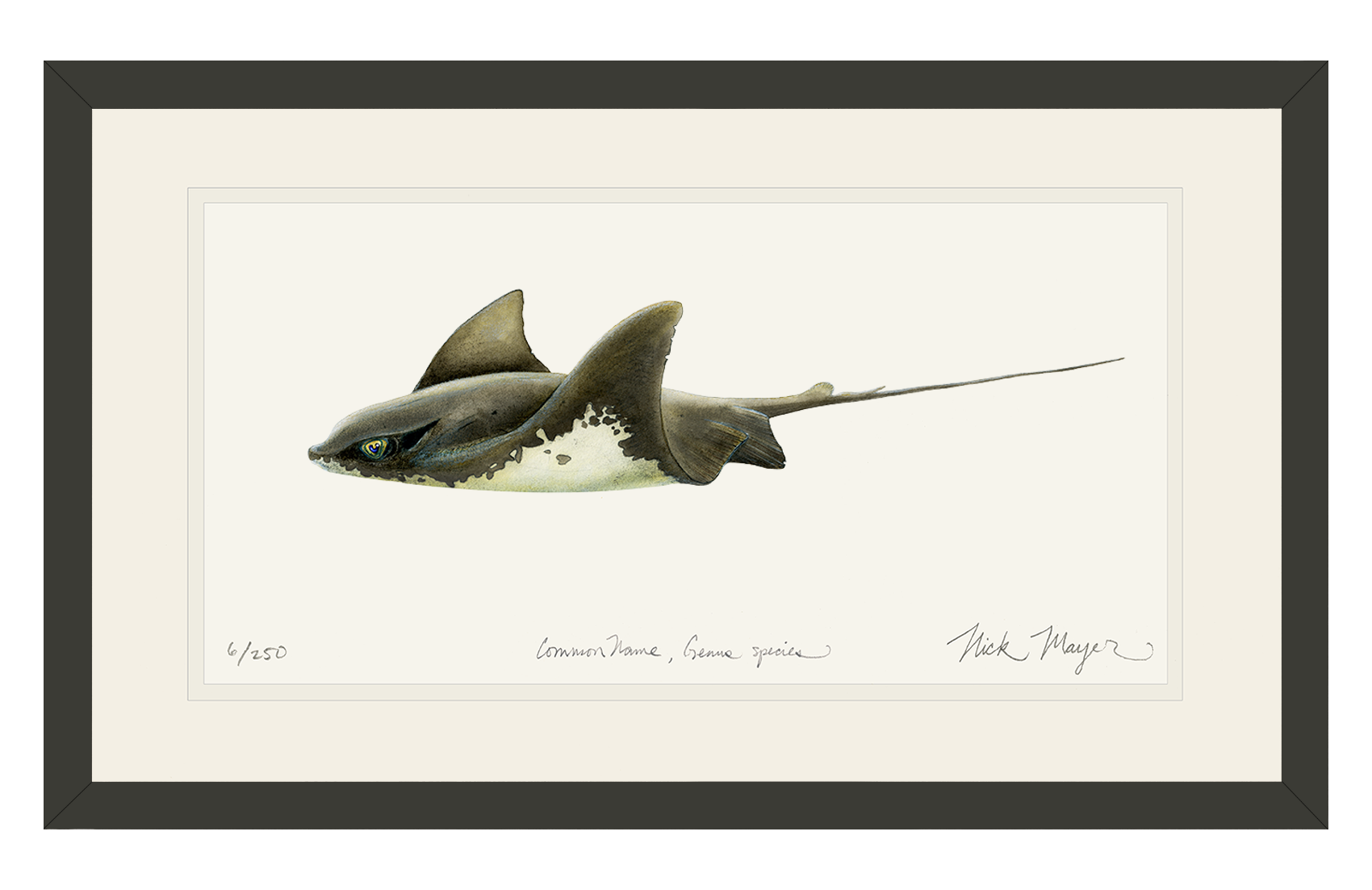 Bat Ray Limited Edition Print
