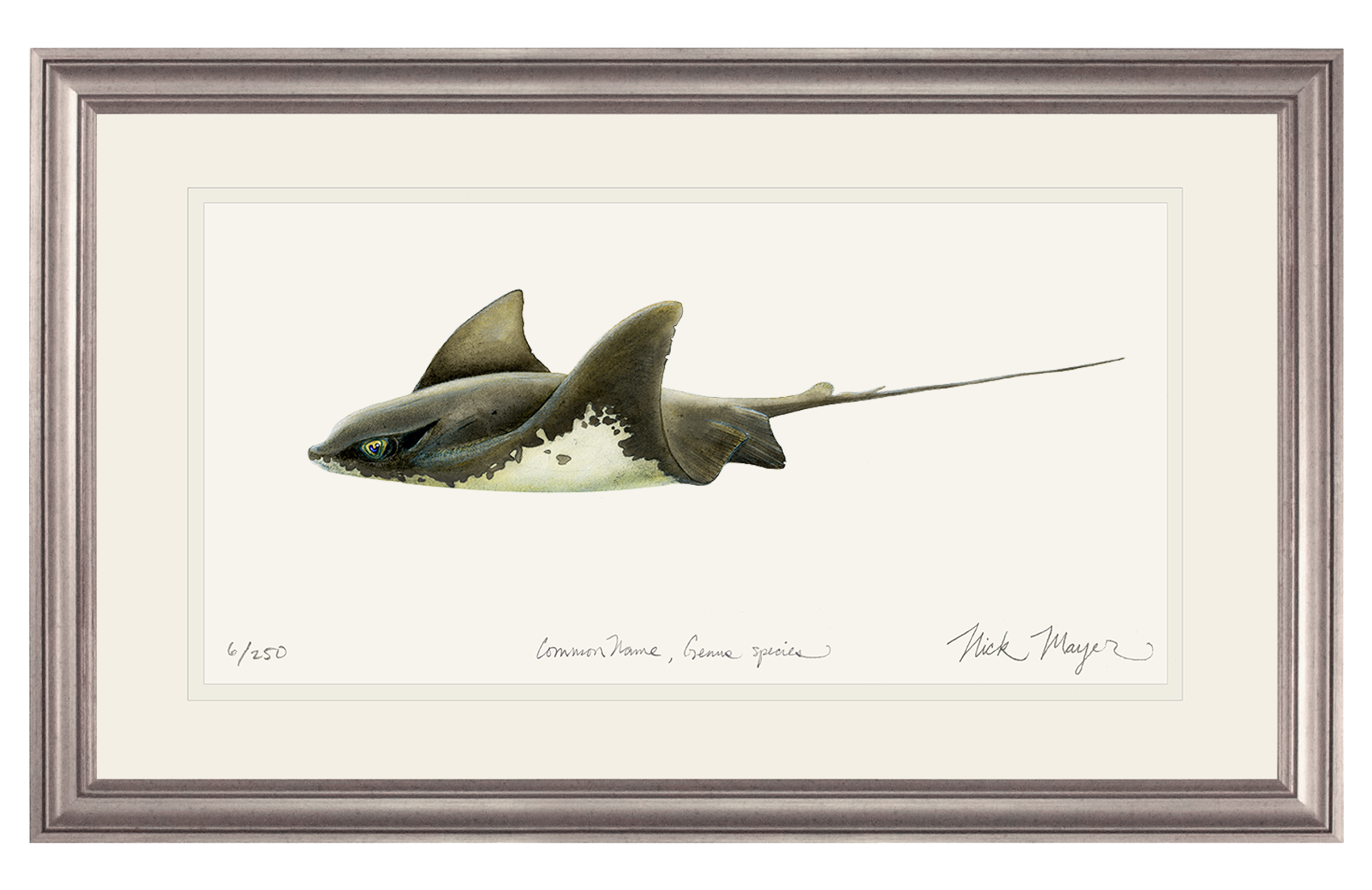 Bat Ray Limited Edition Print