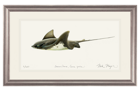 Bat Ray Print
