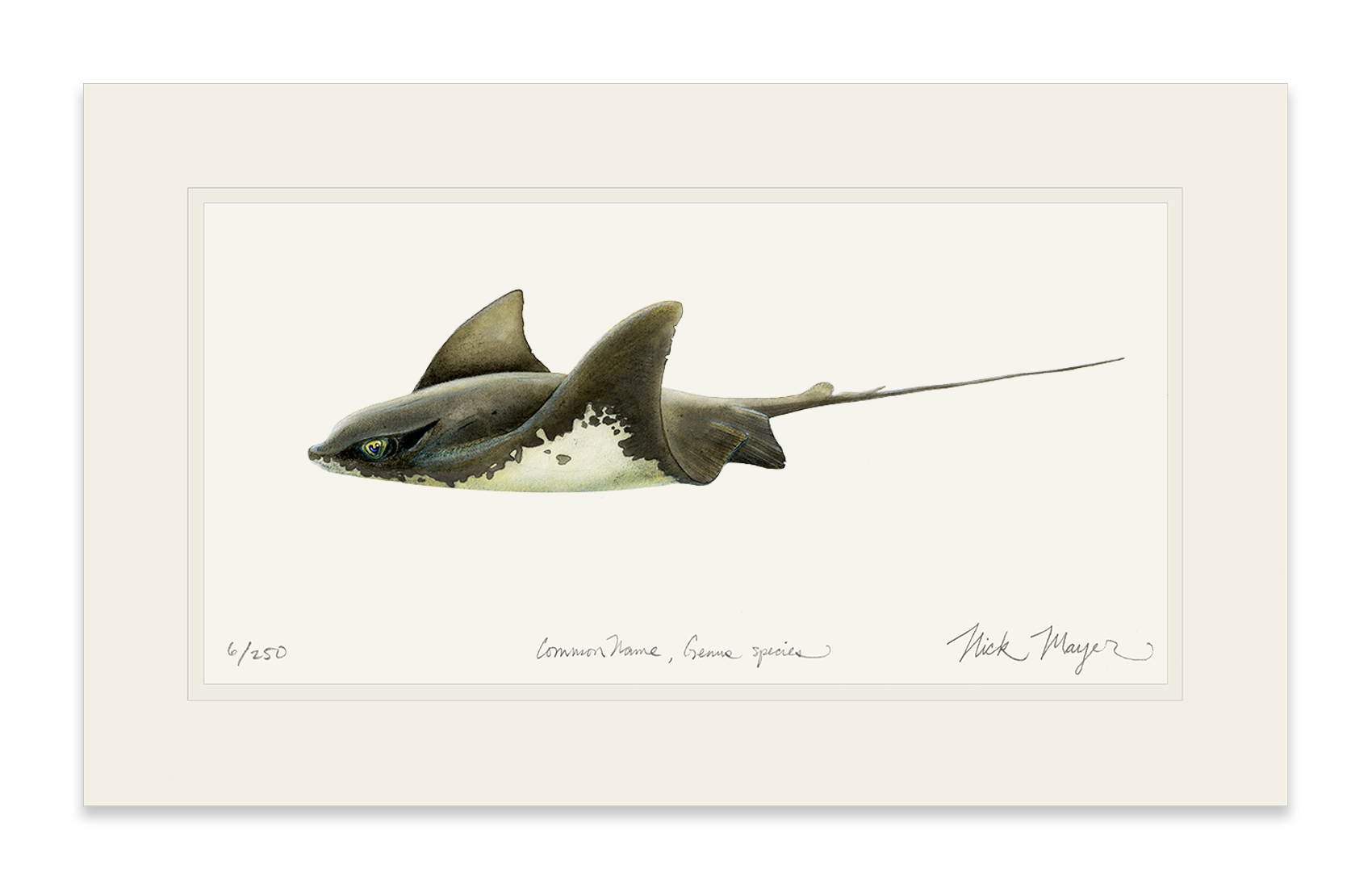 Bat Ray Limited Edition Print