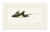 Bat Ray Print