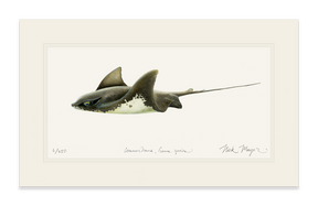 Bat Ray Print