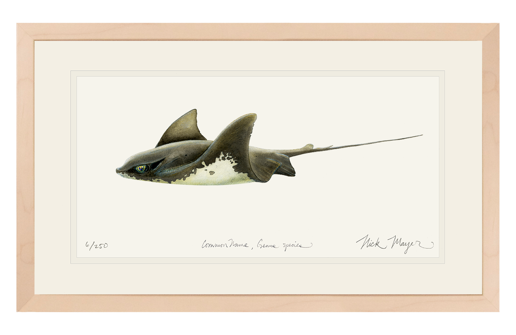 Bat Ray Limited Edition Print
