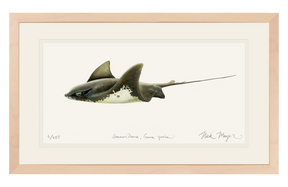 Bat Ray Print