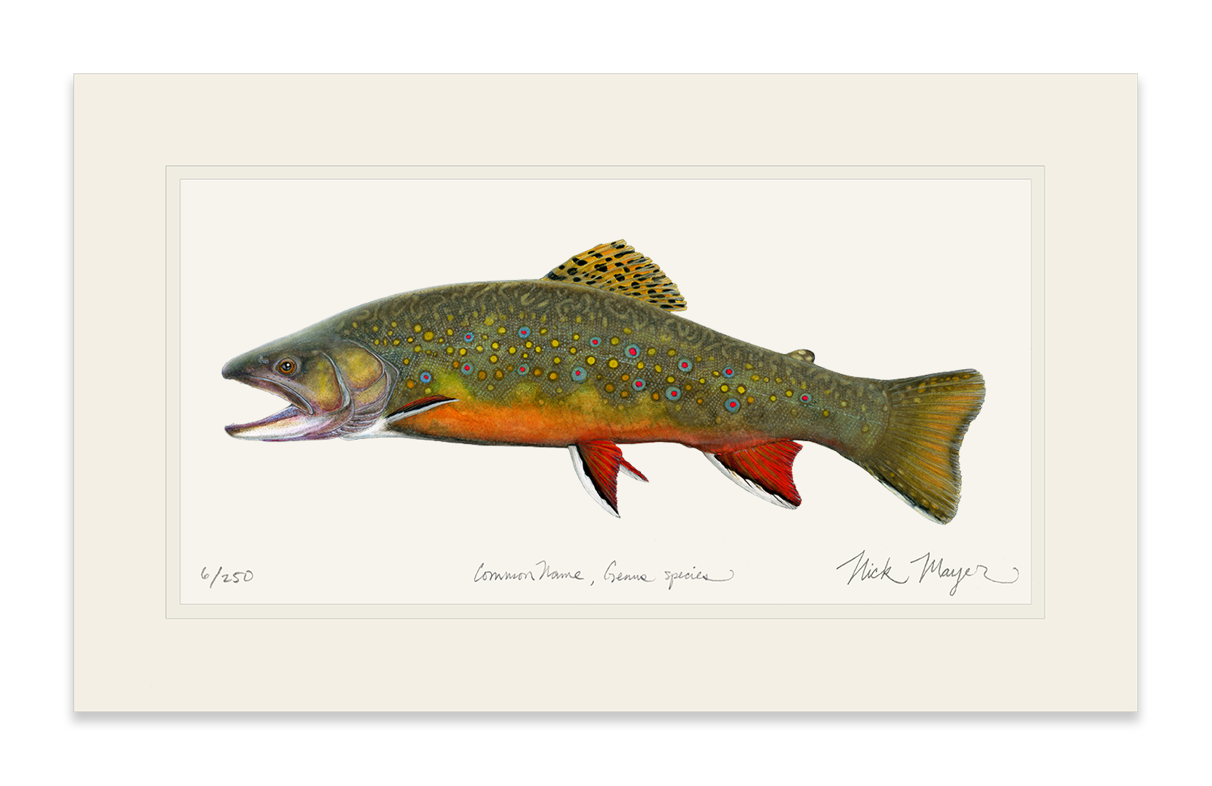 Beaver Pond Brook Trout Limited Edition Print - Best Seller