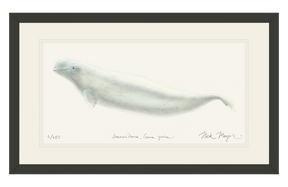 Beluga Whale Print