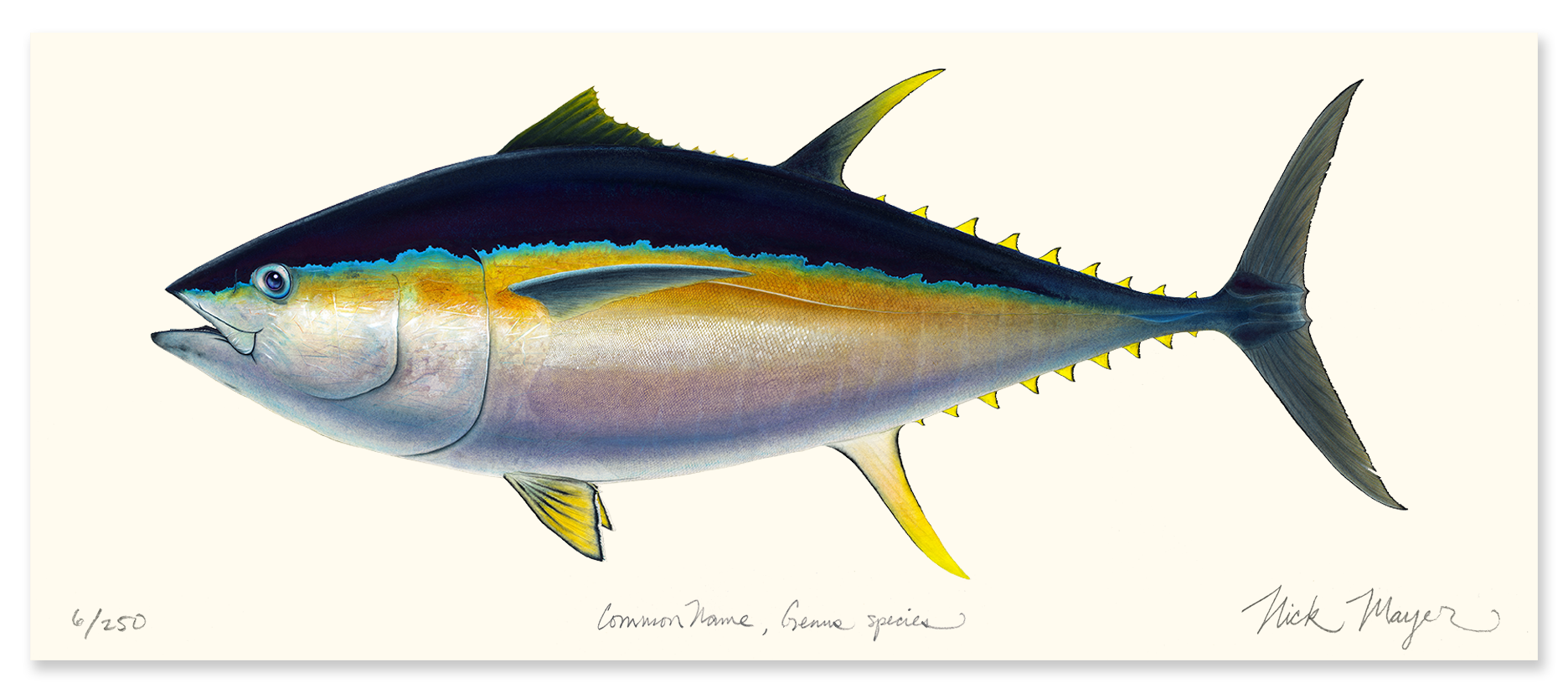 Bigeye Tuna Masterwork Canvas