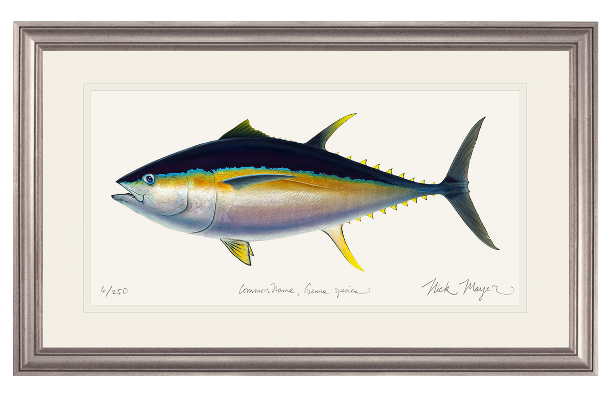 Bigeye Tuna Print
