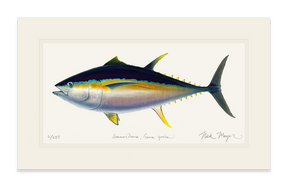 Bigeye Tuna Print