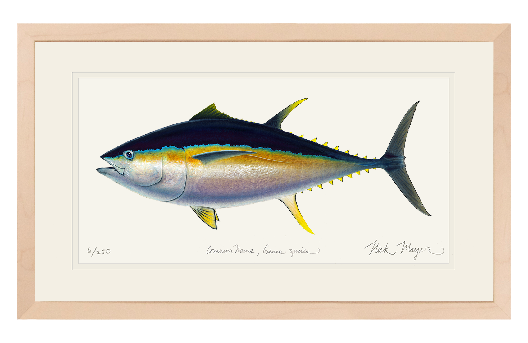 Bigeye Tuna Print