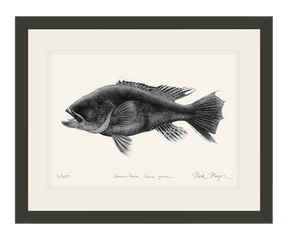 Black Sea Bass Print (b&w)