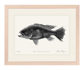Black Sea Bass Print (b&w)
