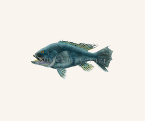 watermark