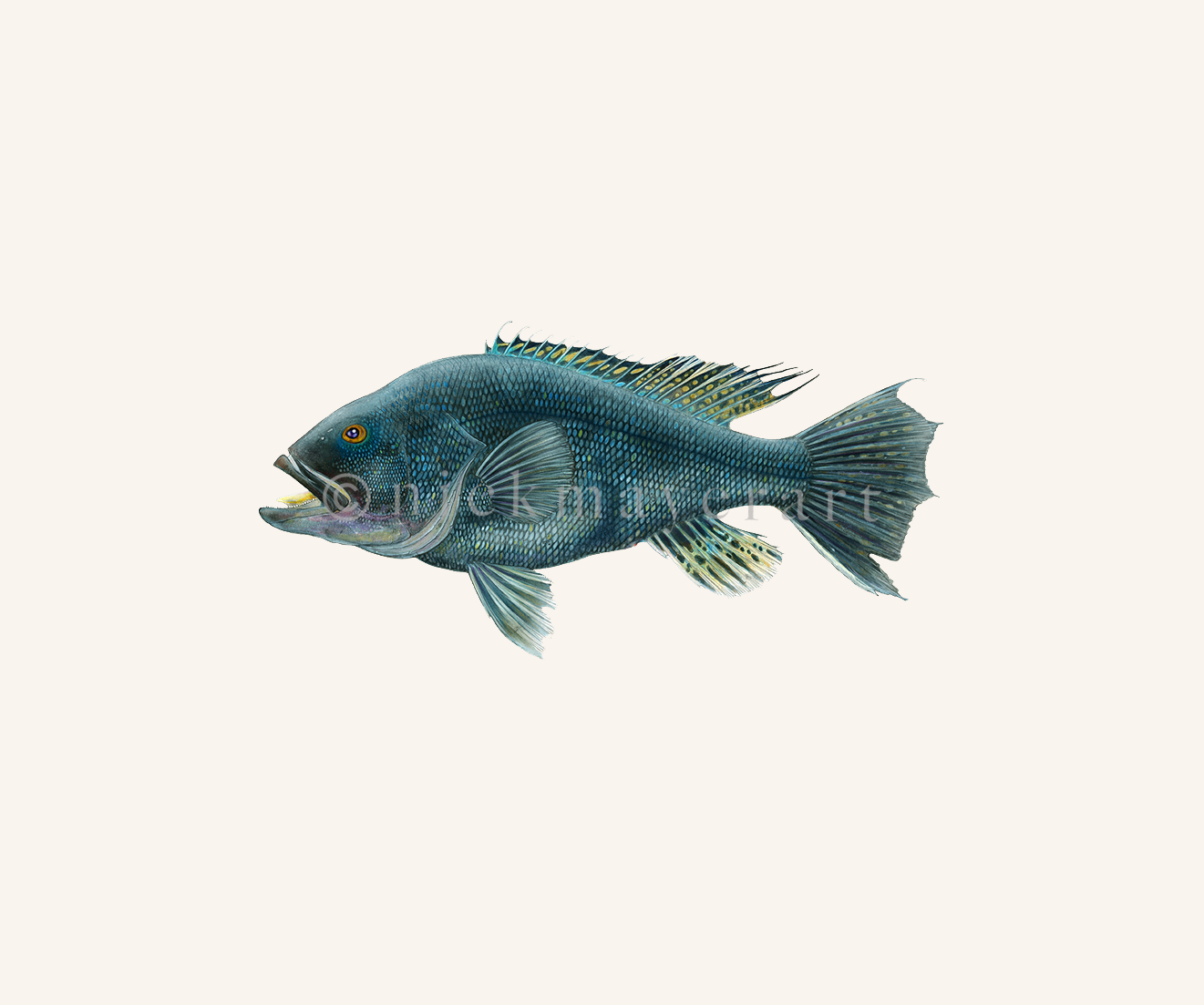 watermark