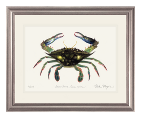 Blue Crab, Claws In Print