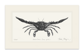 Blue Crab, Claws Out Print (b&w)