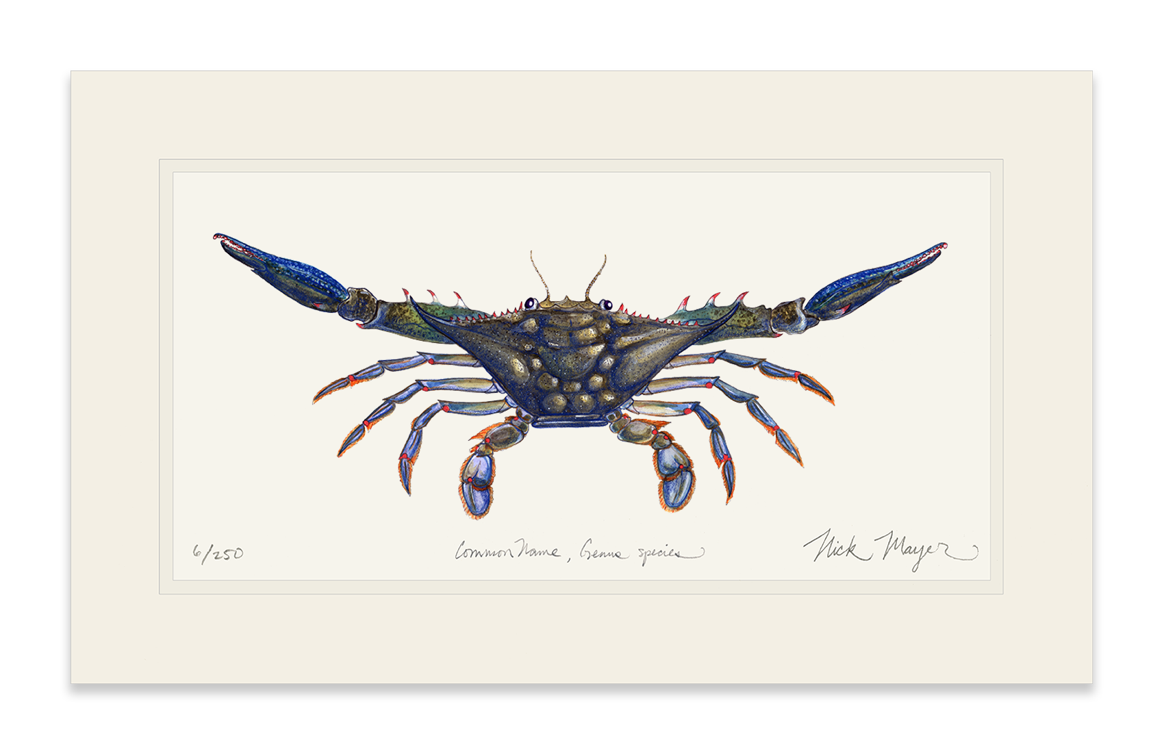 Blue Crab Claws Out Limited Edition Print