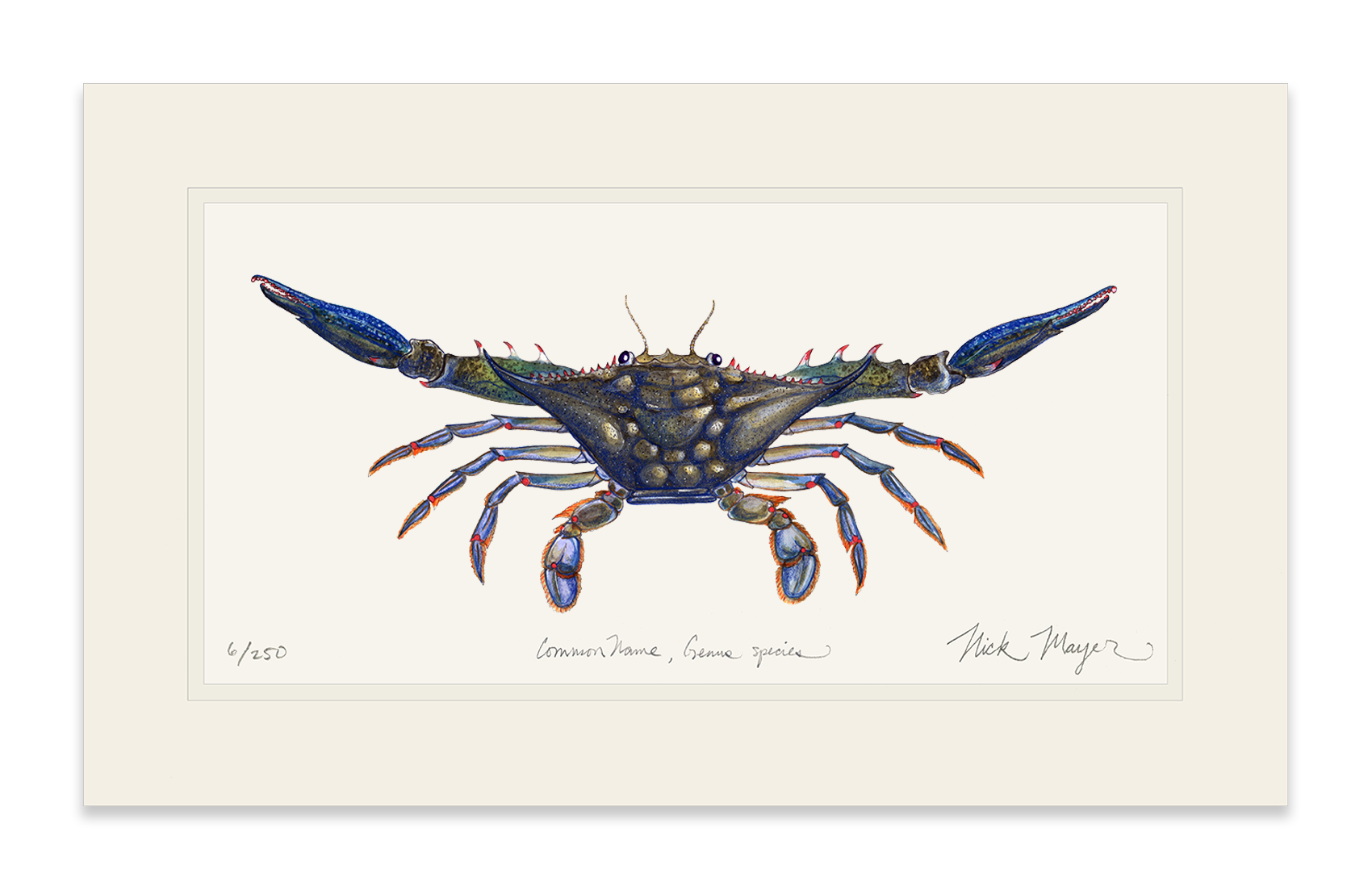 Blue Crab Claws Out Print