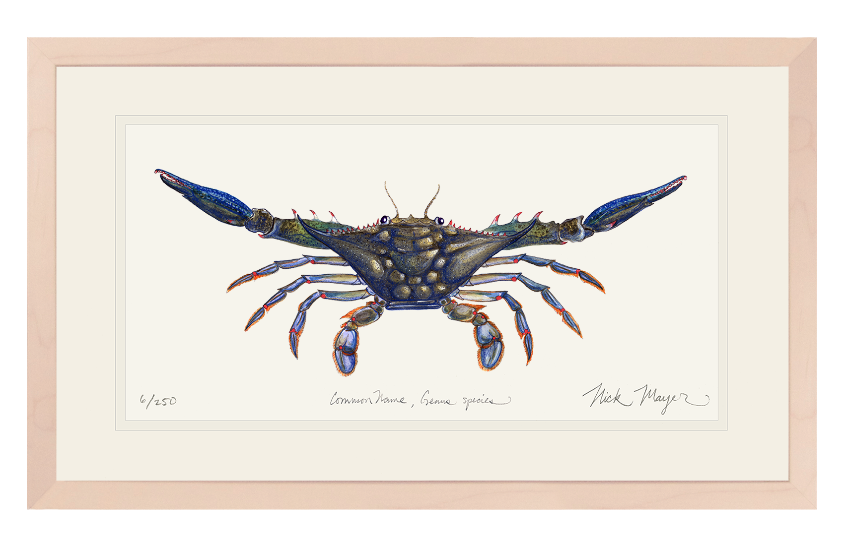 Blue Crab Claws Out Limited Edition Print
