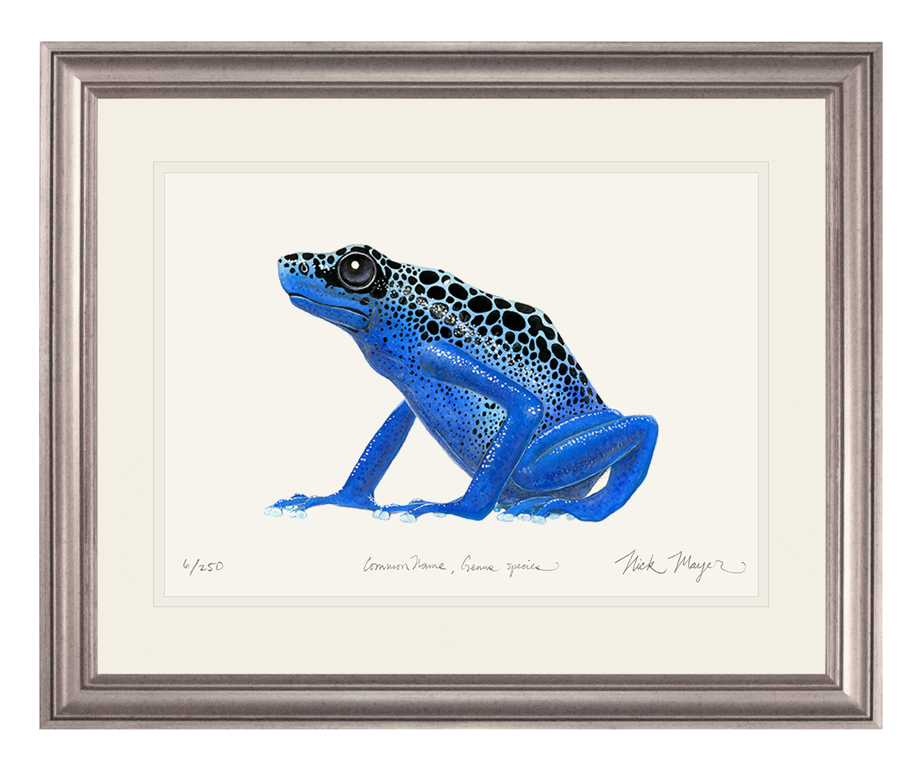 Blue Poison Dart Frog Limited Edition Print