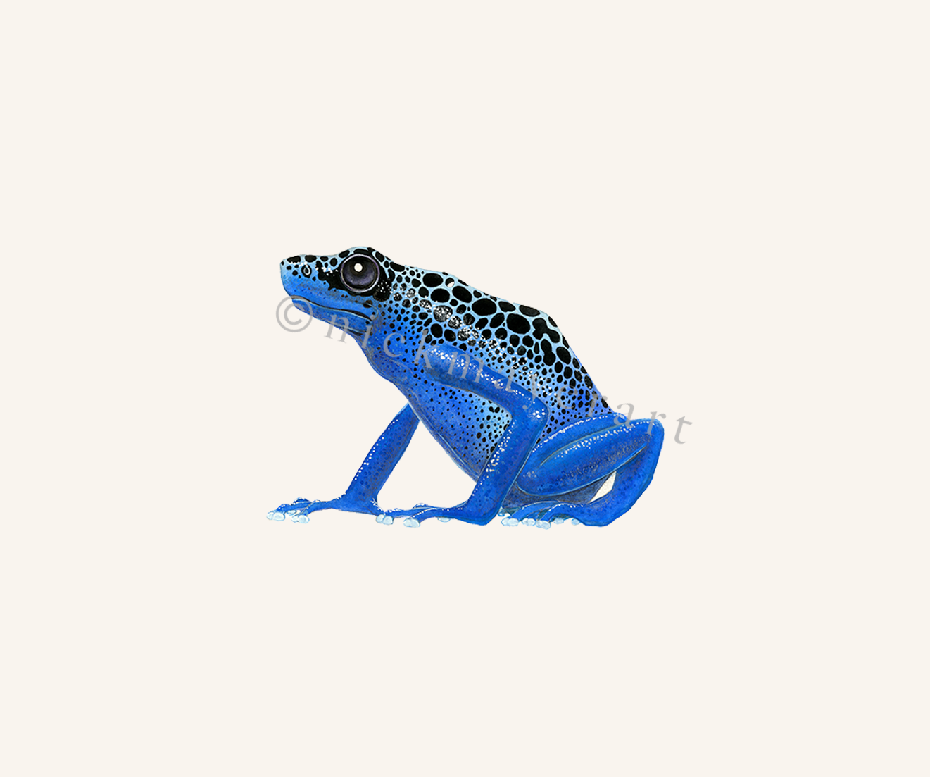 watermark
