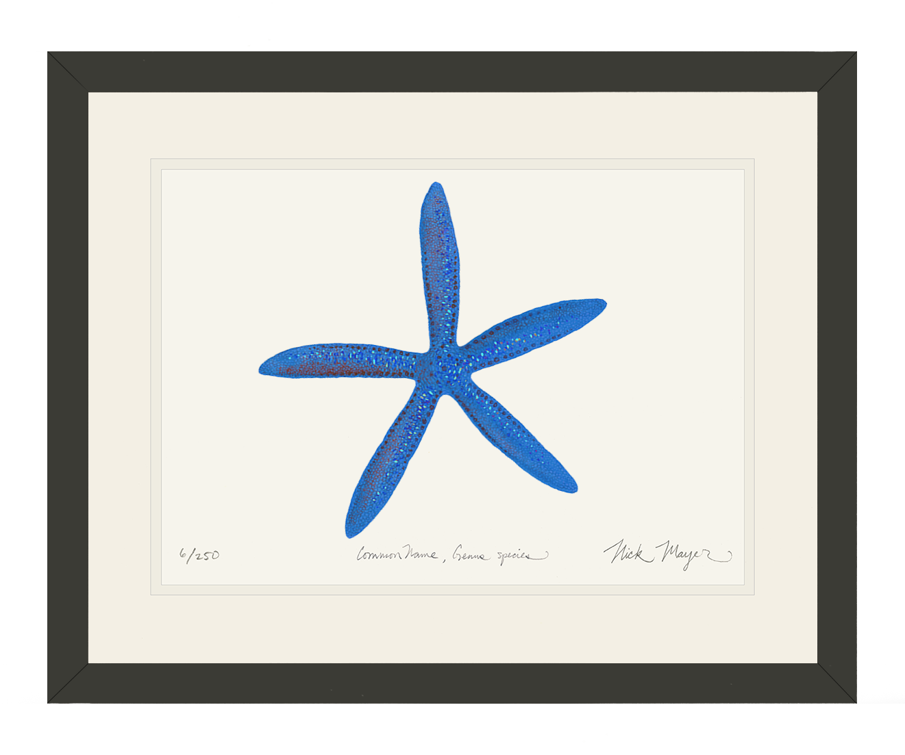 Blue Linckia I Starfish Print