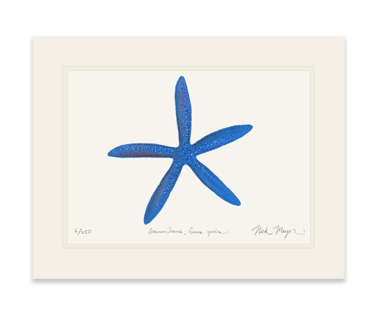 Blue Linckia I Starfish Print
