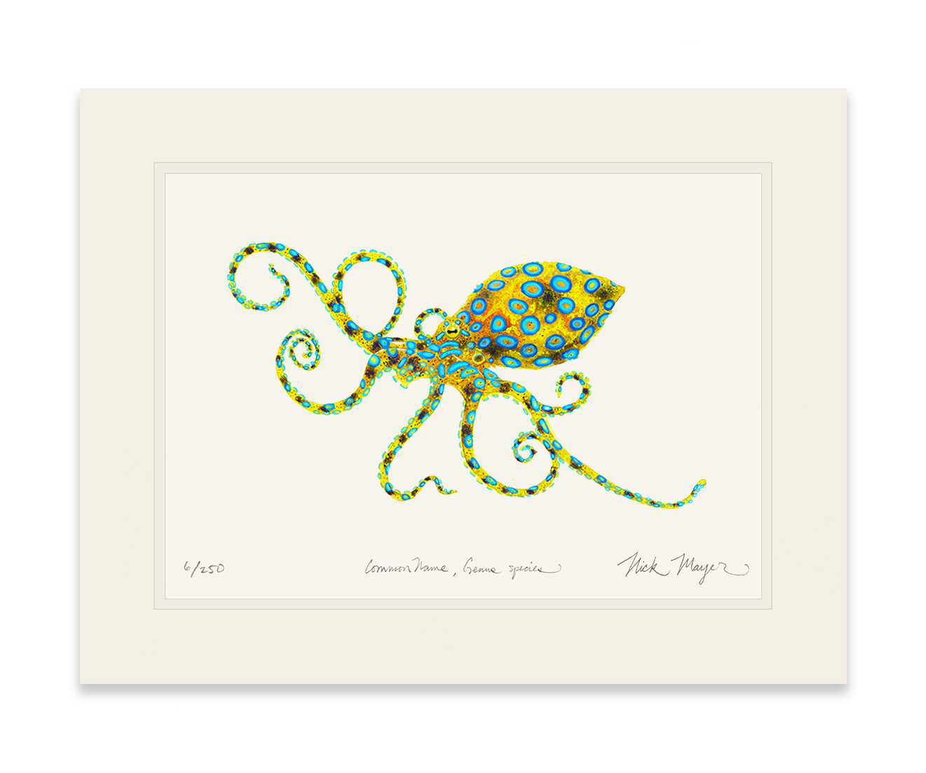 Blue Ringed Octopus Print