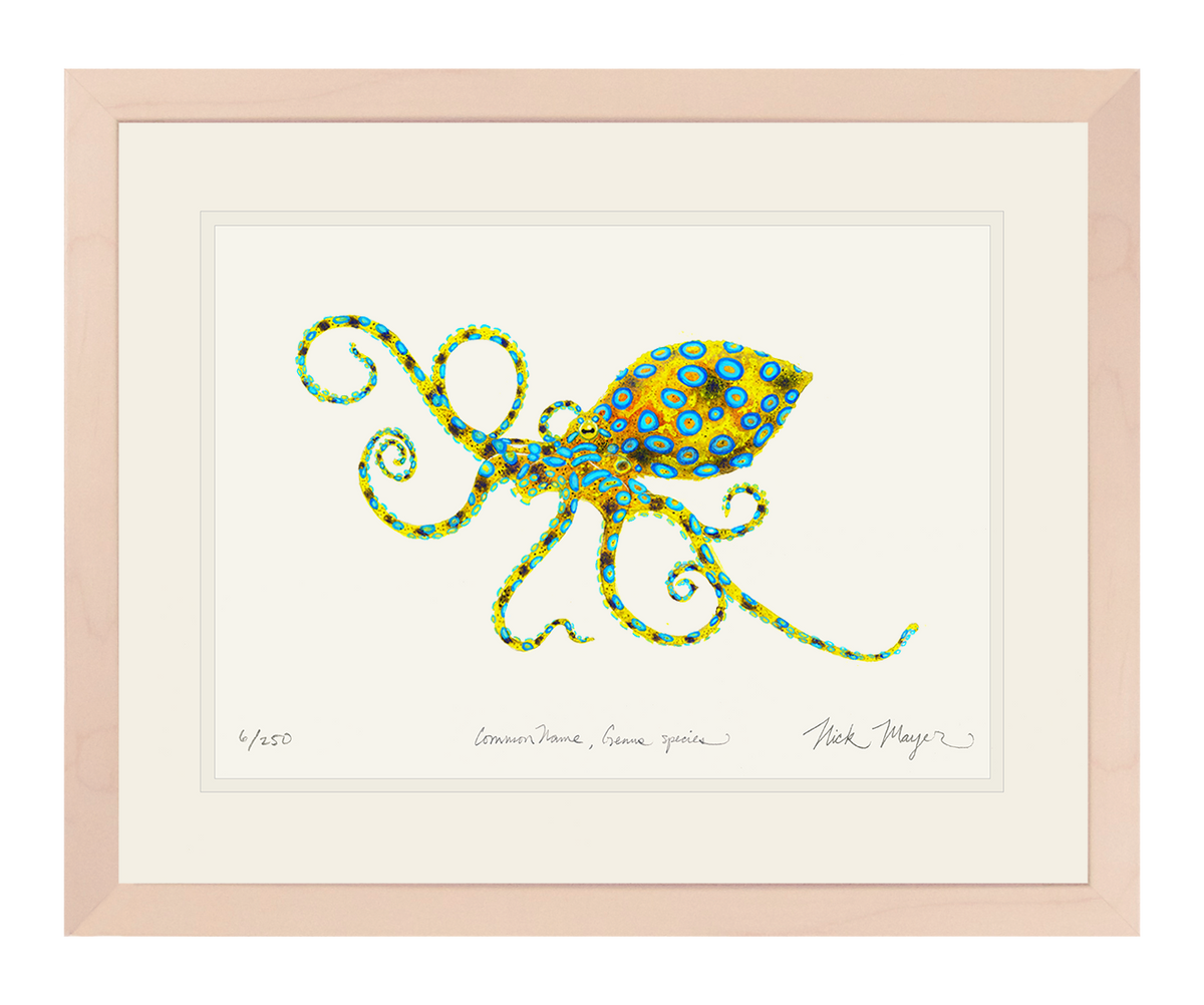 Blue Ringed Octopus Print